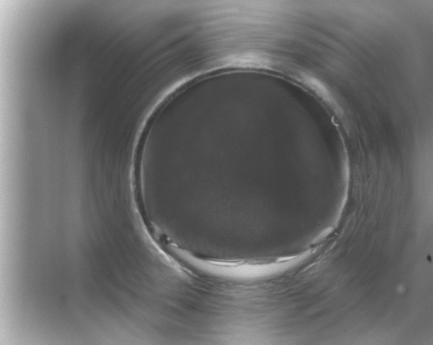 X0000070861331200606302036