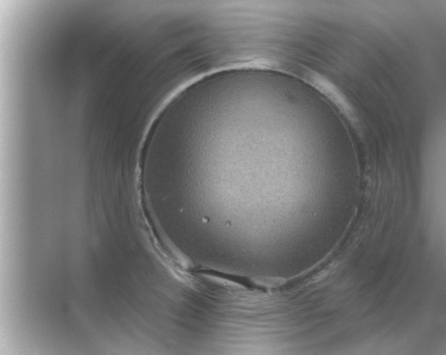 X0000070861332200606302036