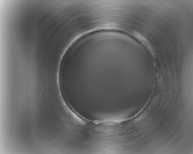 X0000070861334200606302036