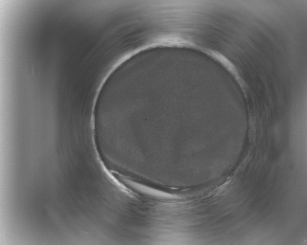 X0000070861335200606302036