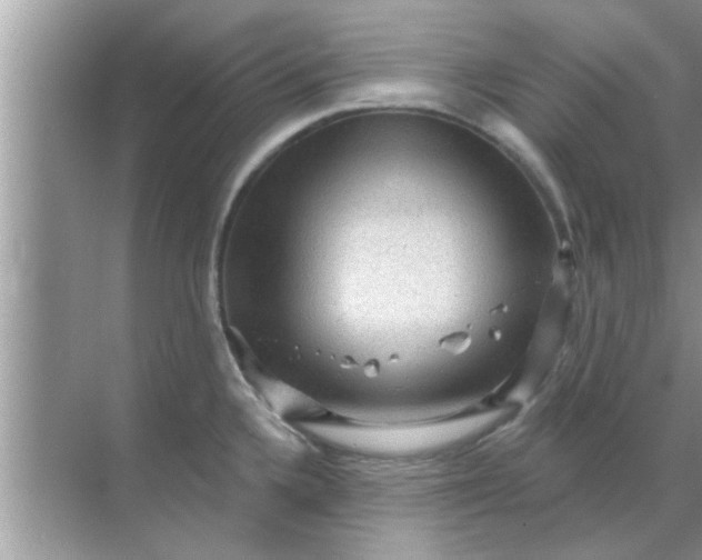 X0000070861336200606302036