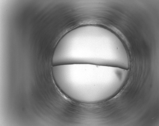 X0000070861337200606302036