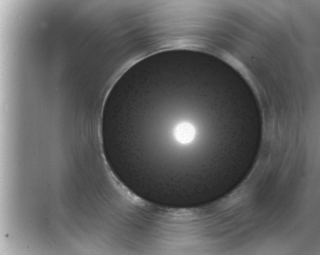 X0000070861338200606302036