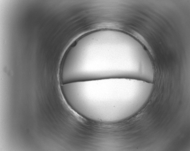 X0000070861339200606302036