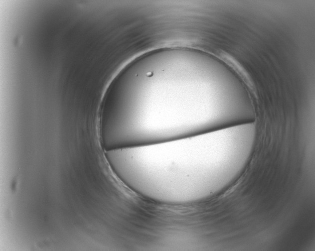 X0000070861340200606302036