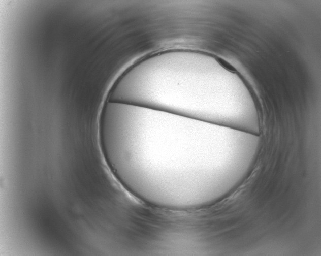 X0000070861341200606302036