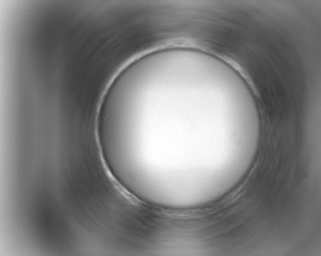 X0000070861342200606302036