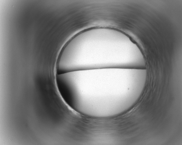 X0000070861343200606302036