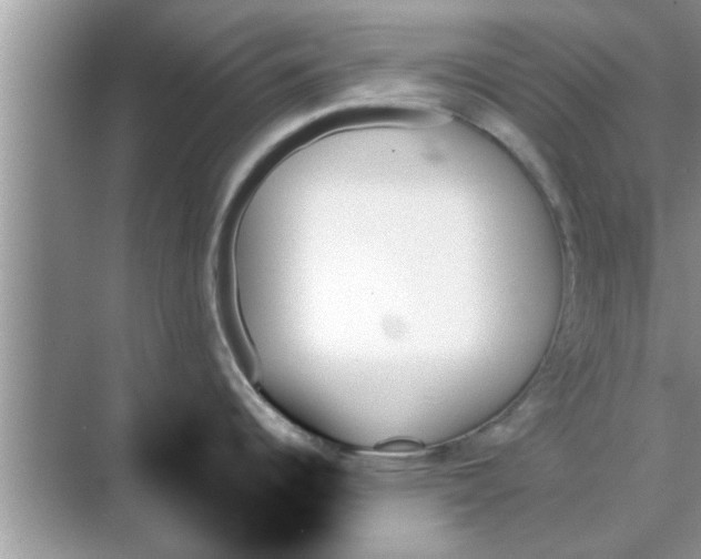 X0000070861344200606302036