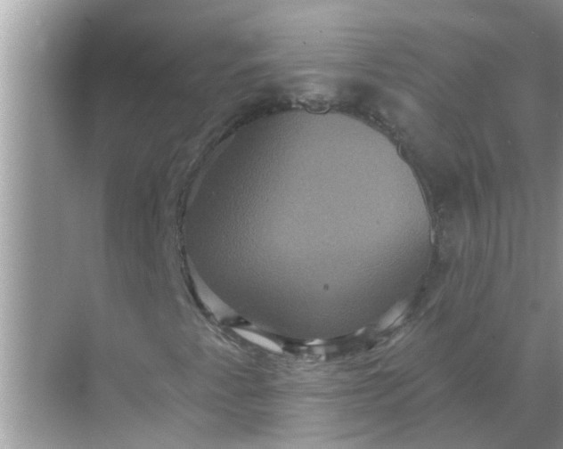 X0000070861345200606302035