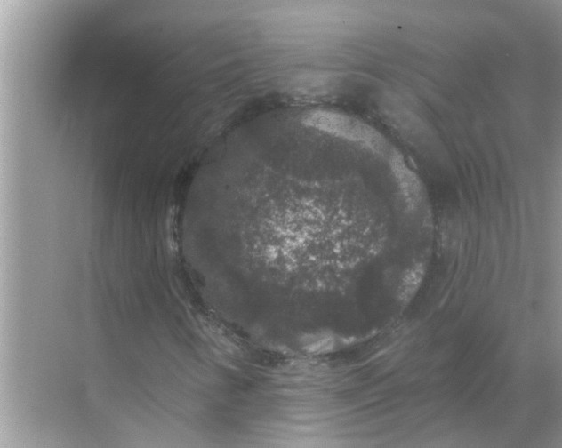 X0000070861346200606302035