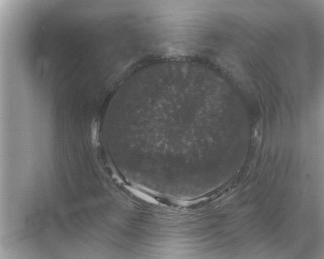 X0000070861348200606302035