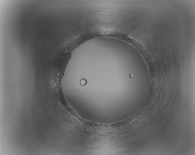 X0000070861349200606302035