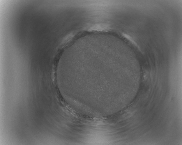 X0000070861350200606302035