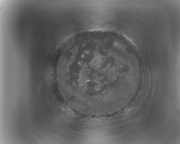 X0000070861351200606302035