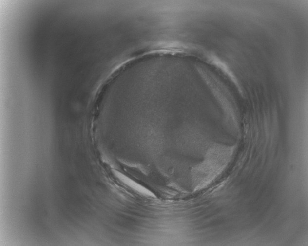 X0000070861352200606302035