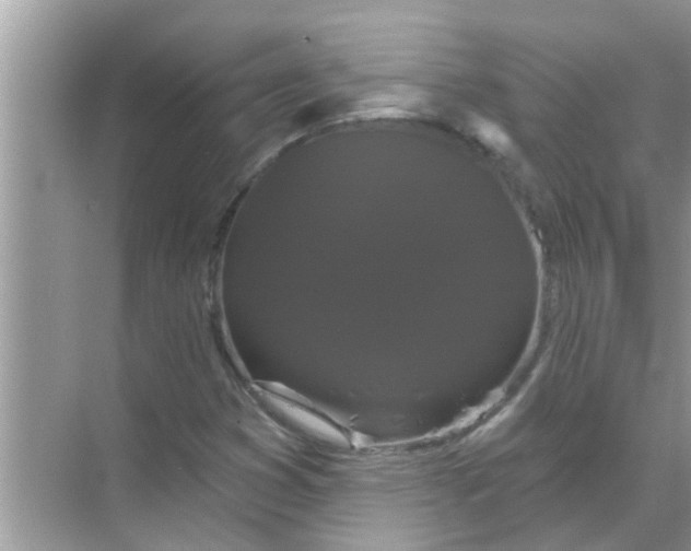 X0000070861353200606302035