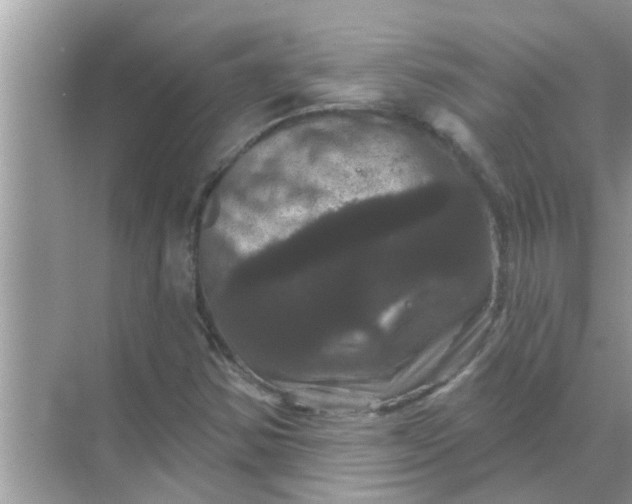 X0000070861354200606302035