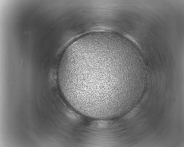 X0000070861355200606302035