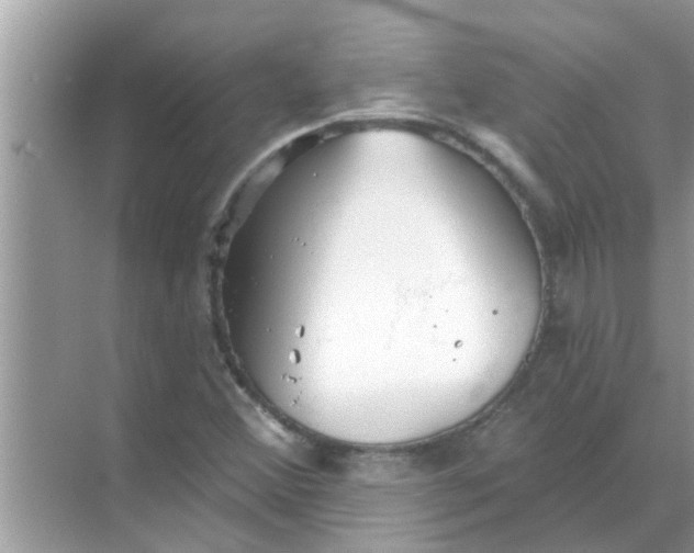 X0000070861356200606302035