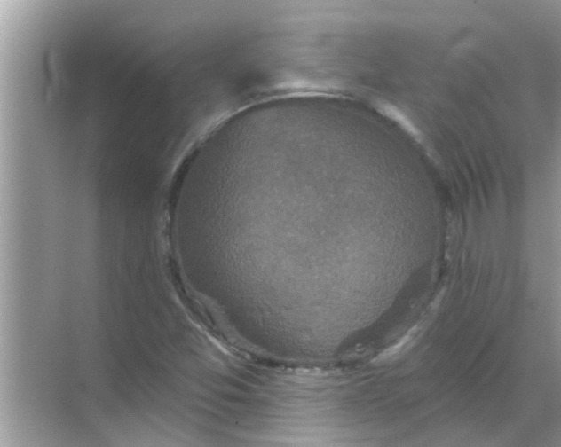 X0000070861357200606302035