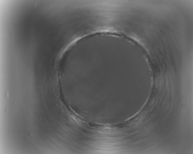 X0000070861359200606302035