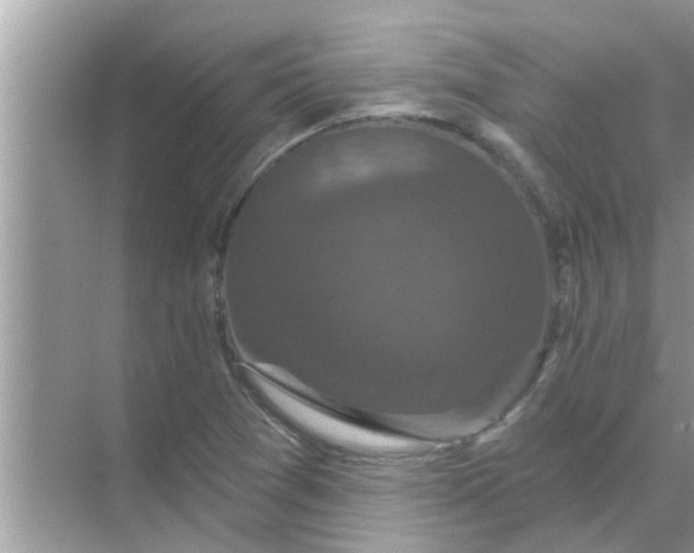 X0000070861361200606302035