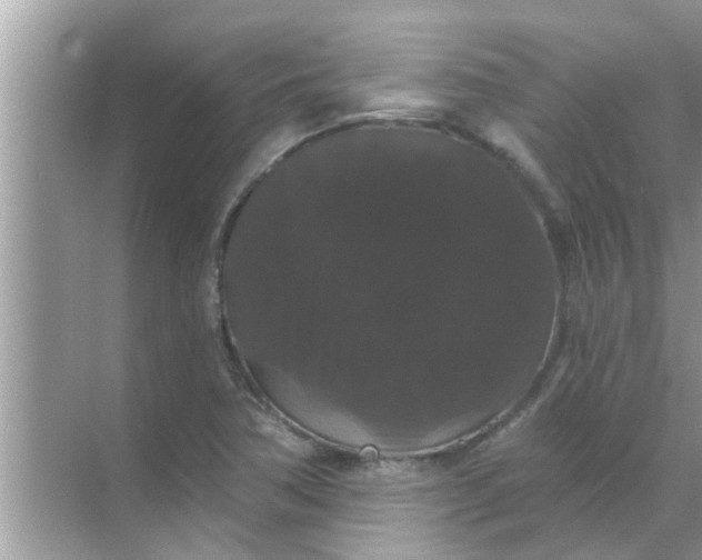 X0000070861362200606302035