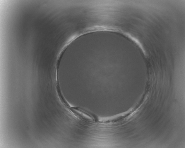 X0000070861365200606302035