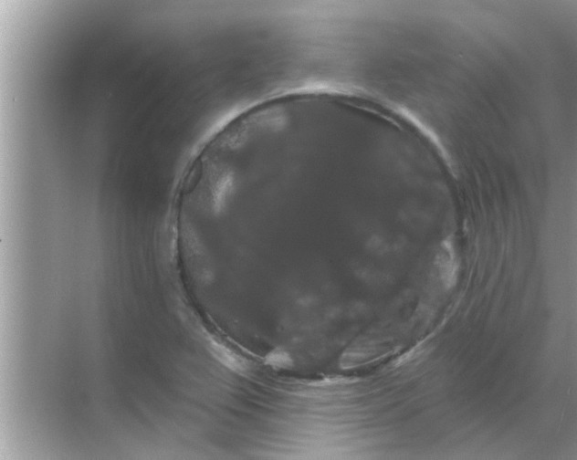 X0000070861367200606302035