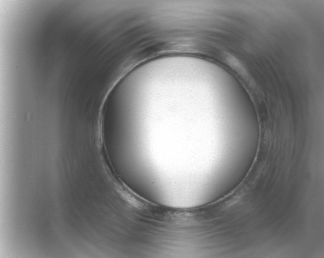 X0000070861370200606302035