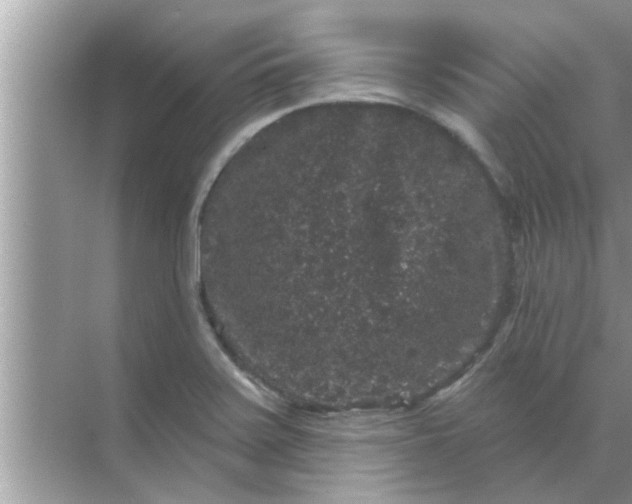 X0000070861371200606302035