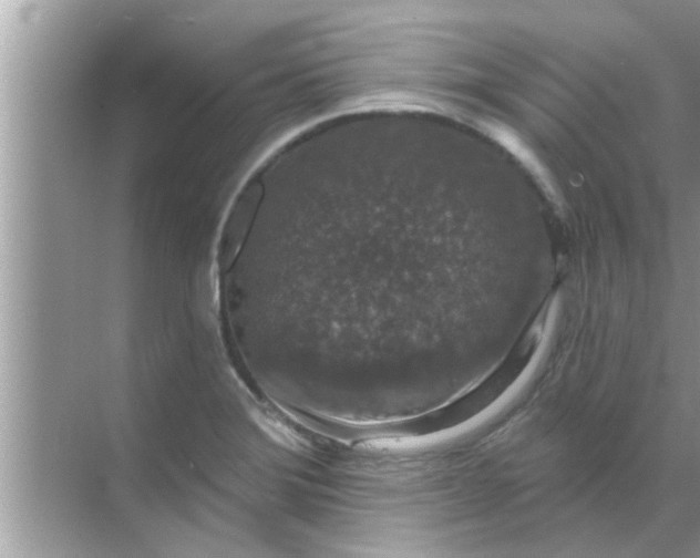 X0000070861372200606302035