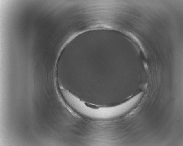 X0000070861373200606302035