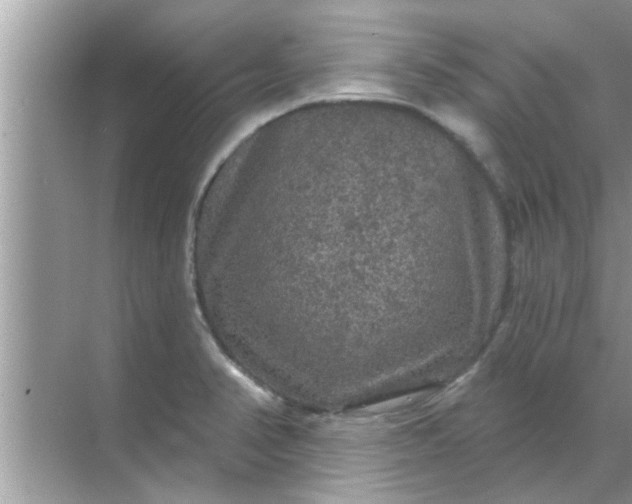 X0000070861374200606302035