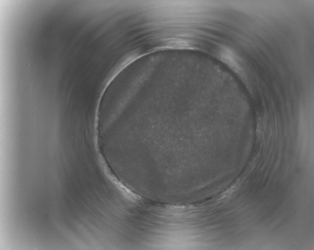 X0000070861378200606302035