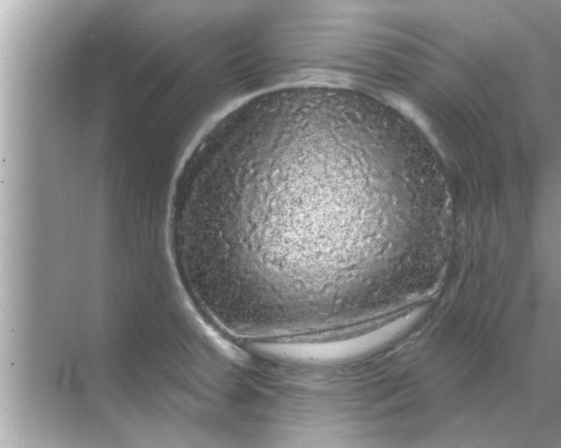 X0000070861379200606302035