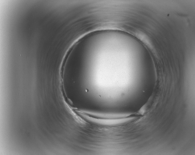 X0000070861380200606302035