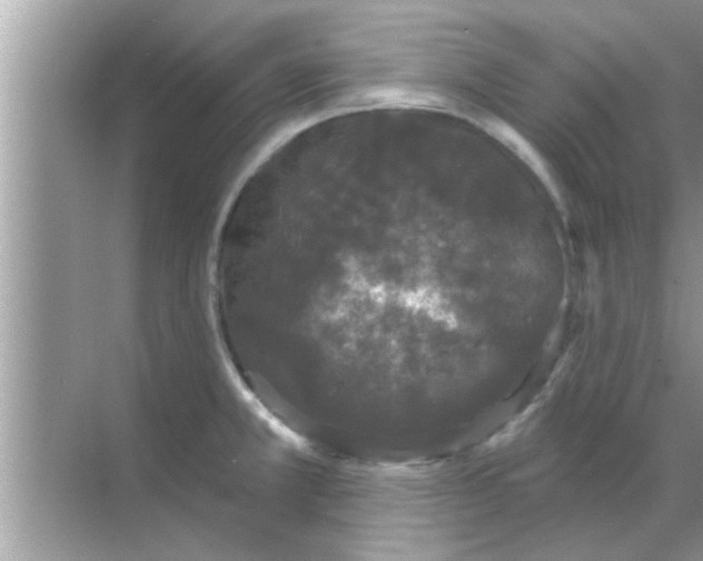 X0000070861381200606302035