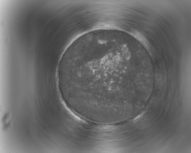 X0000070861382200606302035