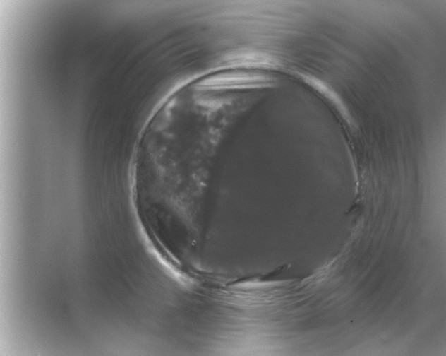 X0000070861383200606302035