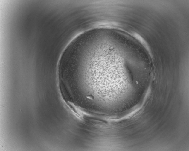 X0000070861384200606302035