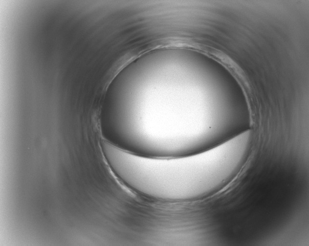 X0000070861385200606302034