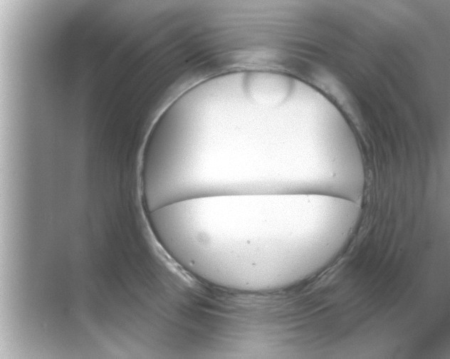 X0000070861386200606302034