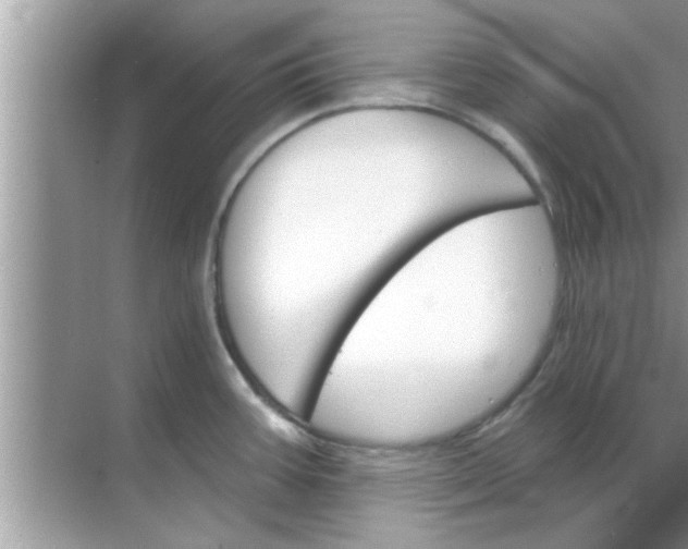 X0000070861387200606302034