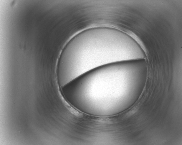 X0000070861388200606302034