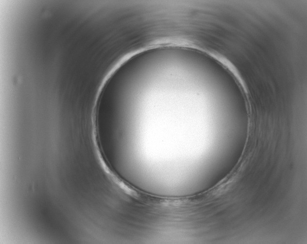 X0000070861389200606302034