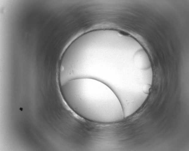 X0000070861390200606302034