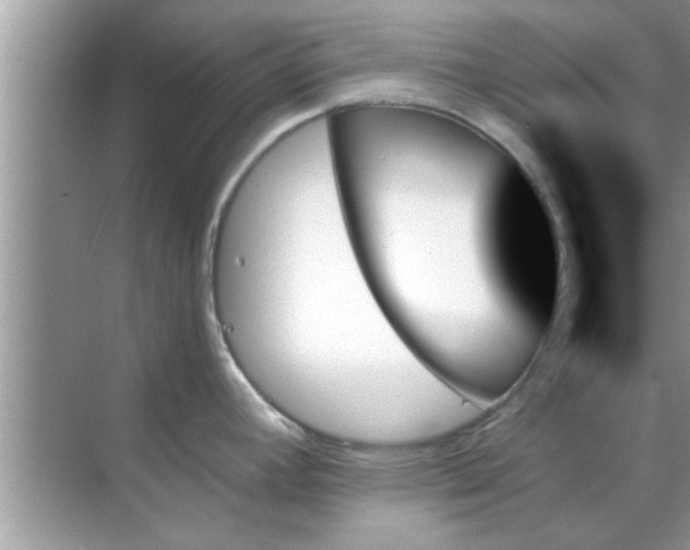 X0000070861392200606302034