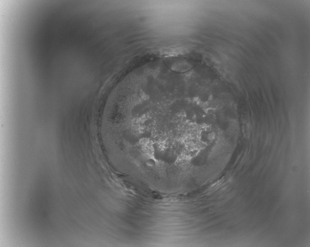 X0000070861393200606302034